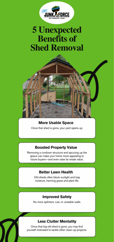 Unexpected Benefits of Shed Removal